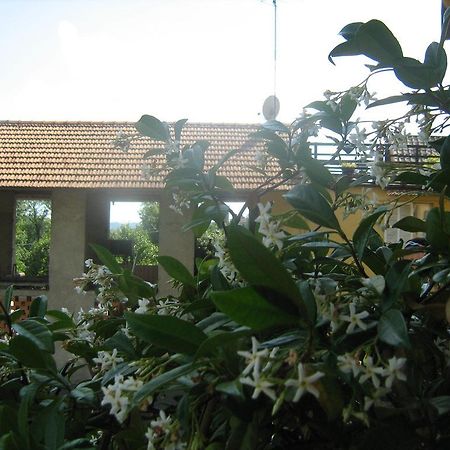 Bed and Breakfast Fattoria Del Pino à Orta San Giulio Extérieur photo