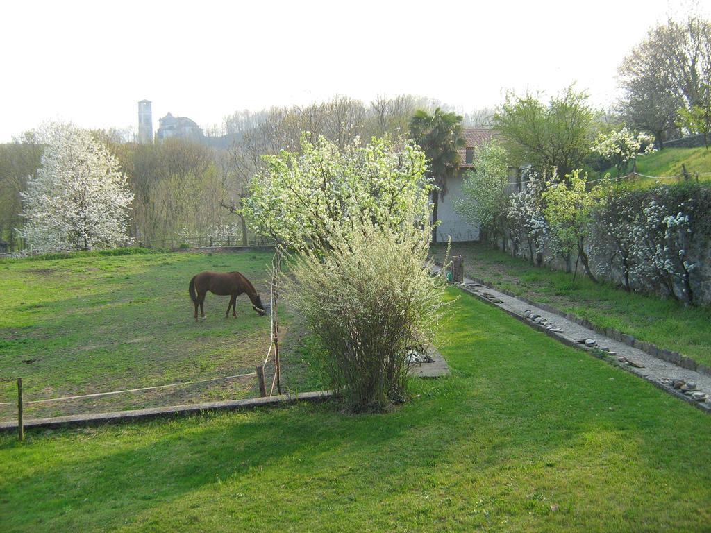 Bed and Breakfast Fattoria Del Pino à Orta San Giulio Extérieur photo